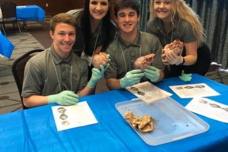 4 HOSA students in HOSA polos holding hearts from a heart disection