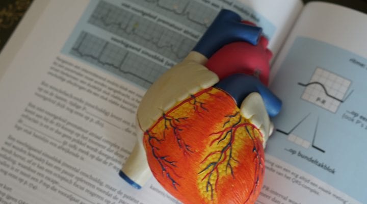 Heart model laying on top of a text book explaining EKGs